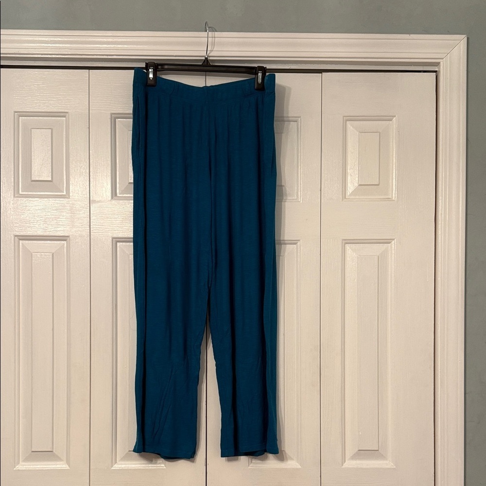 Joyspun Ribbed Knit Lounge Pants – Teal, Size L - Picture 3 of 5